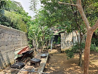 terrain